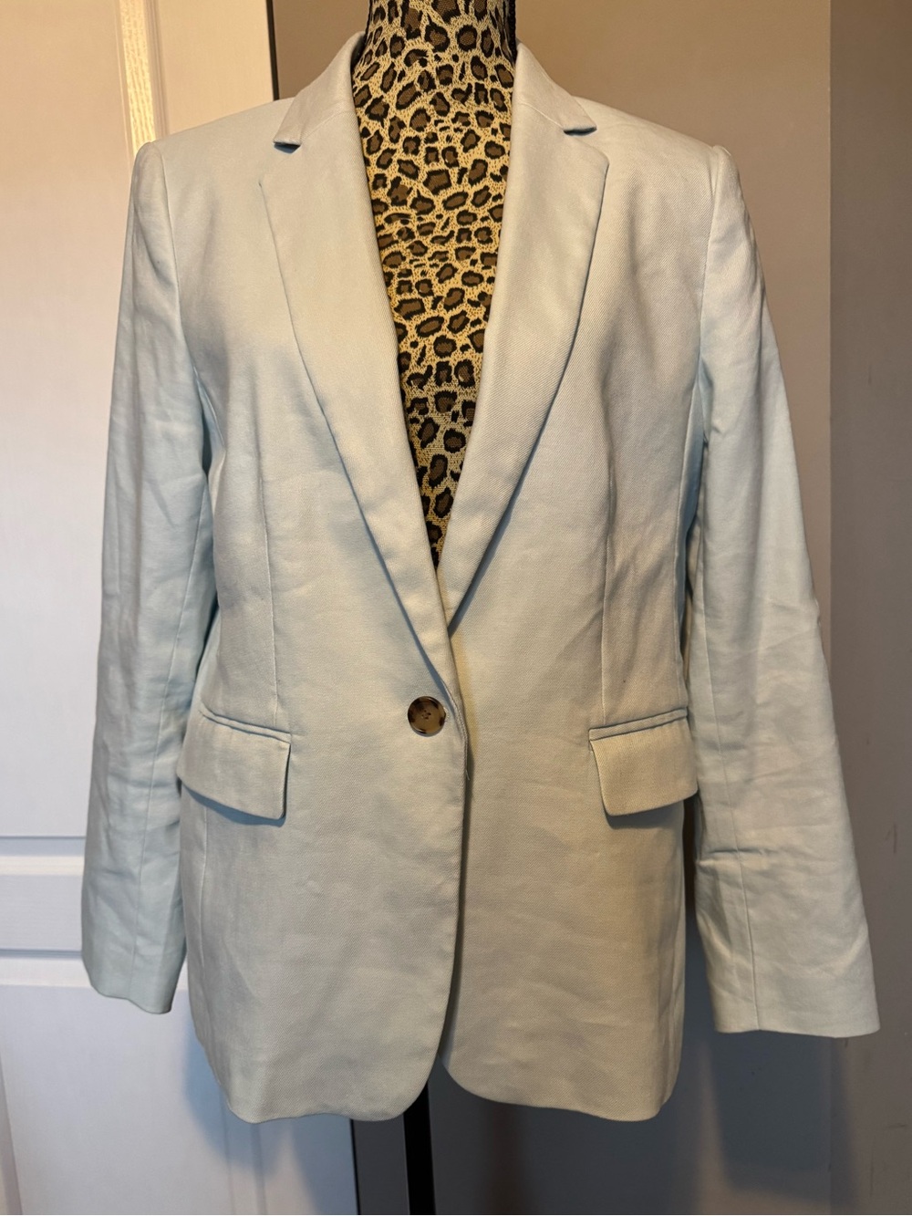 Light Blue Women's Single-Button Blazer